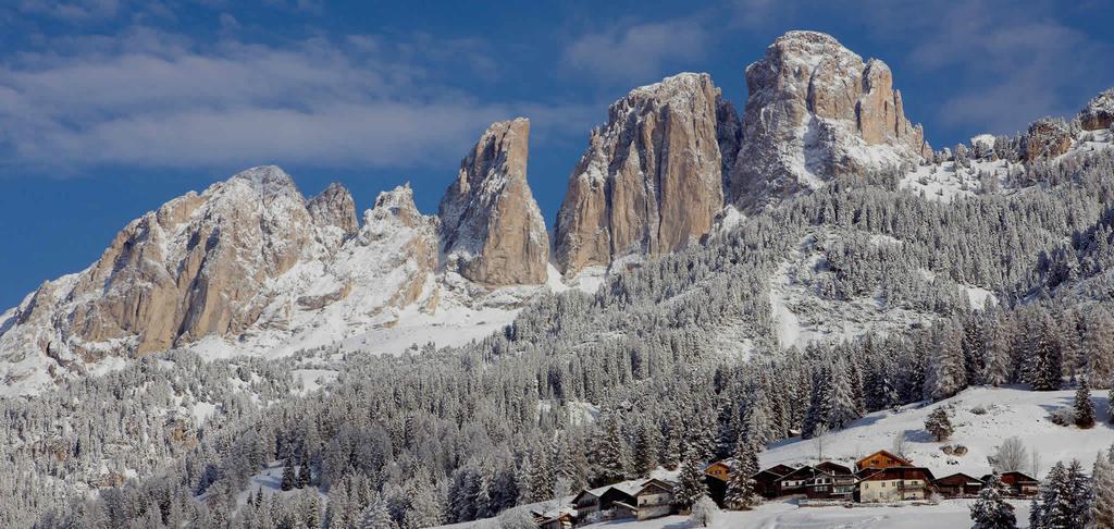 Appartamenti Ladina Campitello di Fassa Εξωτερικό φωτογραφία